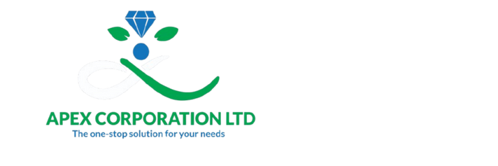 Apex Corporation 